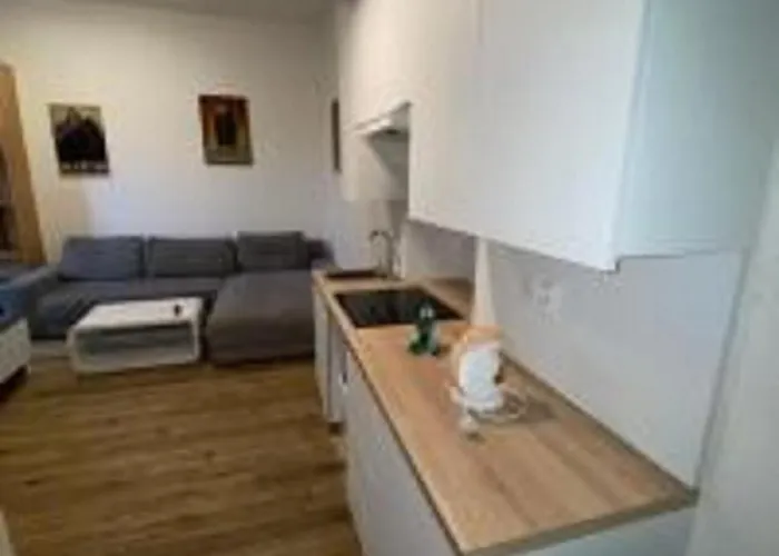 Apartment Minato Center *